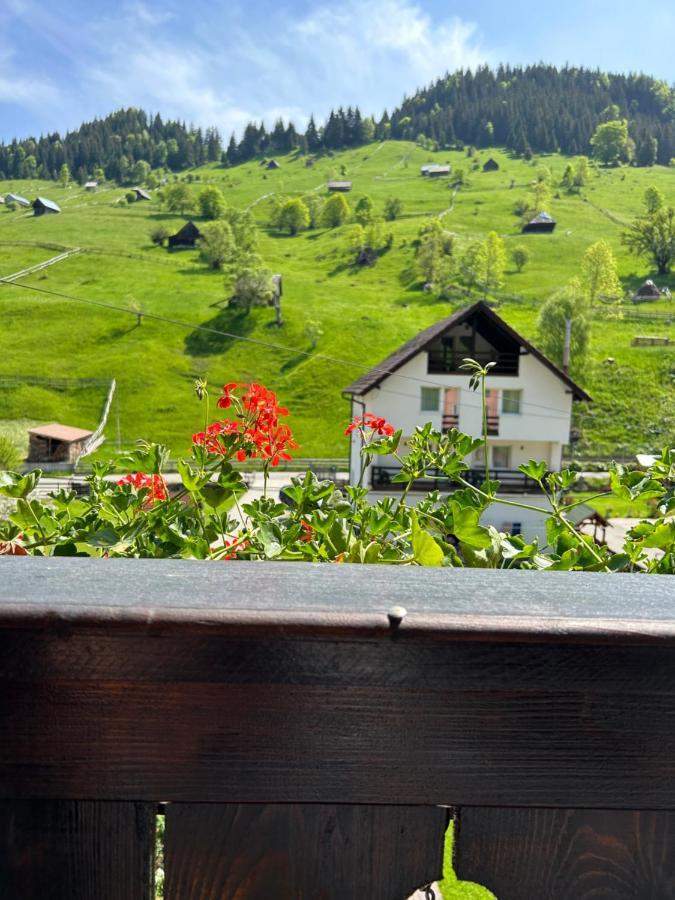 Casa Mia Hotel Moeciu De Sus Buitenkant foto