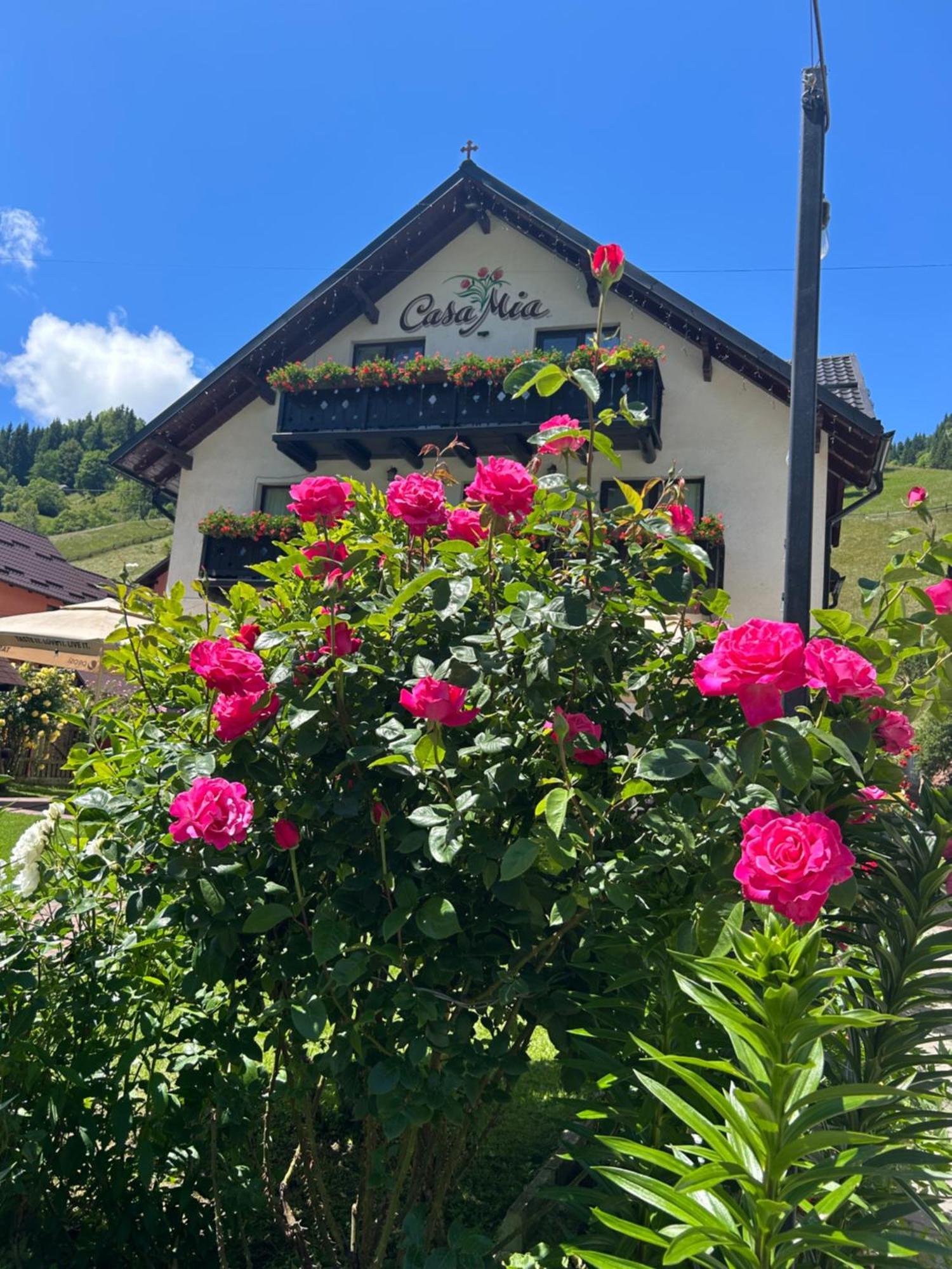 Casa Mia Hotel Moeciu De Sus Buitenkant foto