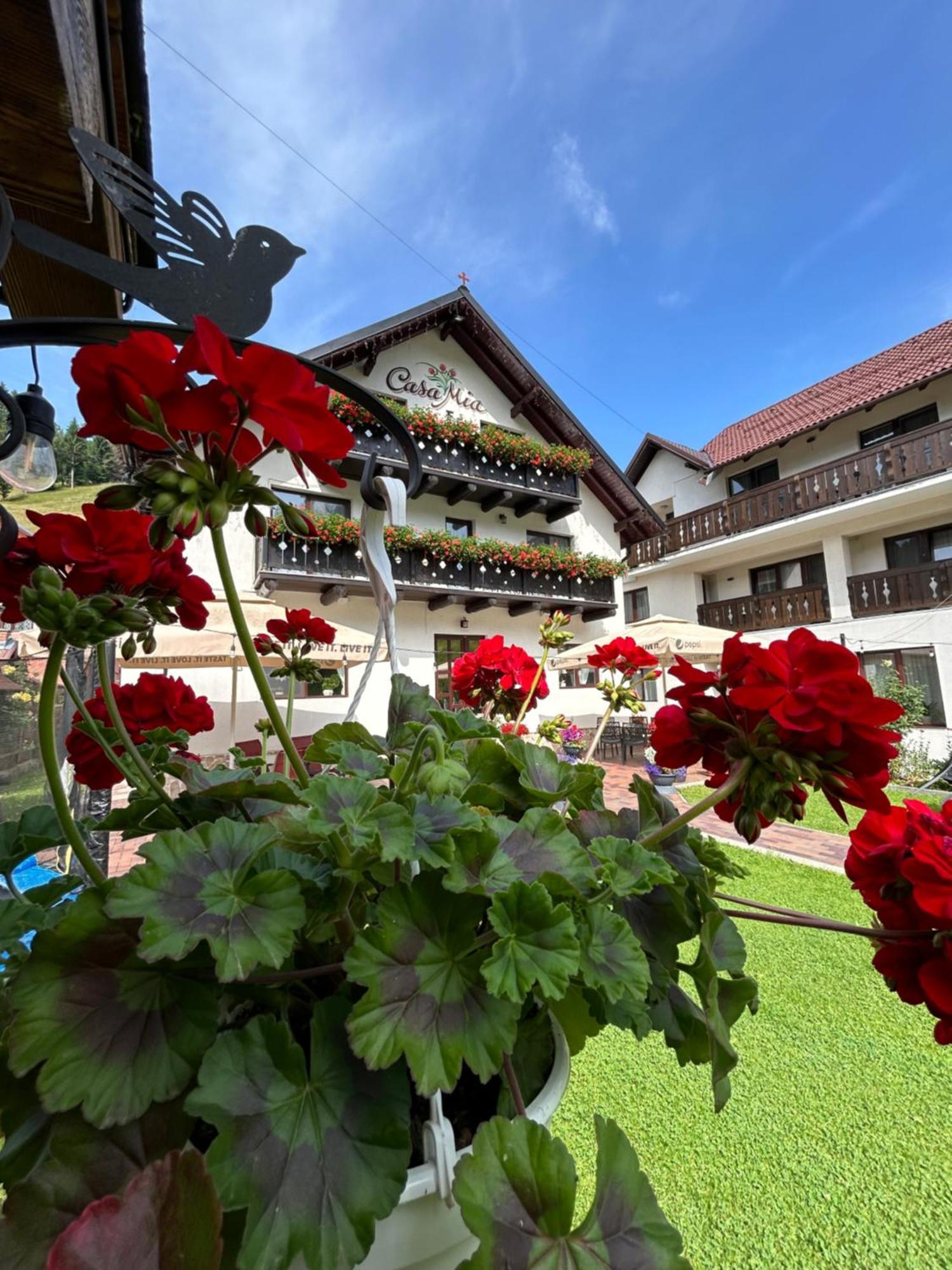 Casa Mia Hotel Moeciu De Sus Buitenkant foto